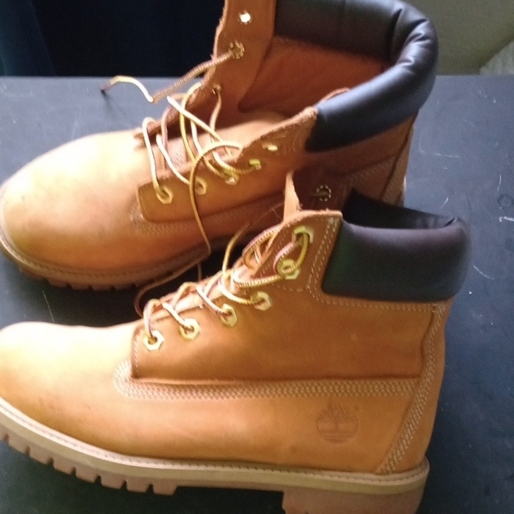 Timberland Tan and Brown Nubuck Boots